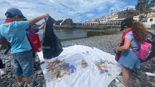 Imagem de 30 escolas azuis unidas pela «corrente do oceano» (áudio)