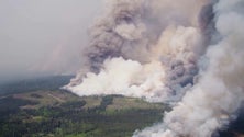 Gases do Canadá vão permanecer nos Açores mas sem ameaça para a saúde pública