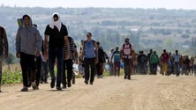 Imagem de Portugal acolheu esta semana 14 refugiados
