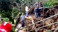 Presépio das Faias em Santana