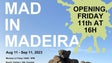 Imagem de «Mad in Madeira» pretene convocar jovens artistas madeirenses para exposição coletiva (áudio)