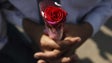 Imagem de Madeirense condenado a 15 anos de prisão por sexo com homens fingindo ser mulher