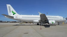 Imagem de Governo garante base da Azores Airlines em Lisboa depois da privatização parcial (Vídeo)