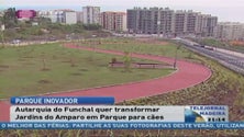 Funchal vai ter parque e memorial para cães