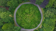 Imagem de Roteiro para a economia circular agrícola dos Açores está finalizado