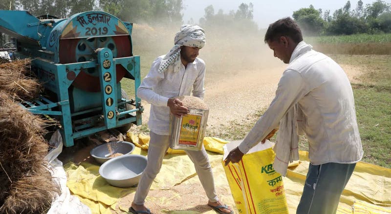 Índia proibiu as exportações de trigo