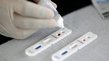 Imagem de Ordem dos Médicos quer testes rápidos aos cidadãos que estarão nas mesas de voto