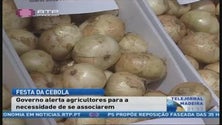 Festa da Cebola no Caniço (Vídeo)