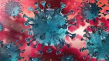 Imagem de Faial reclama laboratório para detetar o novo coronavírus (Vídeo)