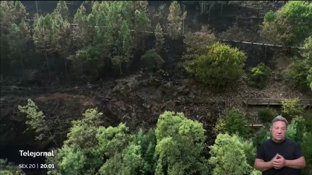 Incêndio em Arouca está extinto e contam-se prejuízos