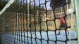 Torneio Nacional de Padel de Masters na Madeira (vídeo)