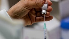 Imagem de «Portugal está preparado para avançar com 4.ª dose de vacina se necessário»