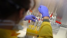 Imagem de Covid-19: UMa aguarda aprovação das autoridades para fazer testes de imunidade (Vídeo)