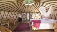 Imagem de O primeiro parque de Glamping dos Açores está no Faial (Vídeo)