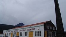 Imagem de Museu assinala 25 anos em São Roque do Pico (Vídeo)