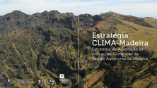 Imagem de Madeira empenhada em minimizar os impactos das alterações climáticas
