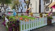 Imagem de Exposição Machico em flor (vídeo)