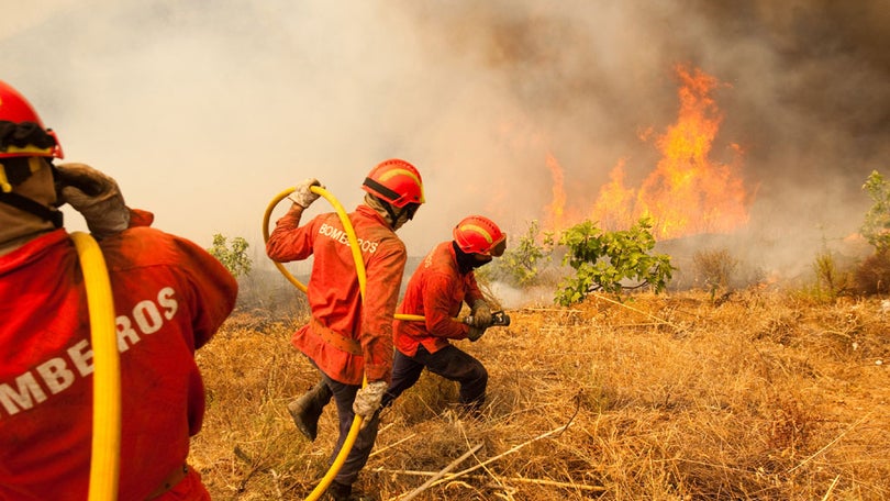 Imagem de Português apresenta tecnologia para monitorizar sinais vitais em bombeiros