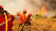 Português apresenta tecnologia para monitorizar sinais vitais em bombeiros