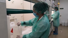 Imagem de UMa produziu 2750 litros de gel desinfetante para o SESARAM (Vídeo)