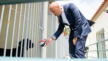 Imagem de CMF inaugurou Centro de Esterilizações para animais errantes e de famílias carenciadas