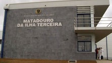 Imagem de Aprovado subsídio de risco aos trabalhadores dos matadouros (Vídeo)
