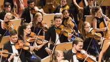 Imagem de Cinco músicos portugueses selecionados para Orquestra de Jovens da União Europeia