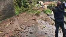 Imagem de Governo da República disponibiliza apoio na área da Proteção Civil à Madeira