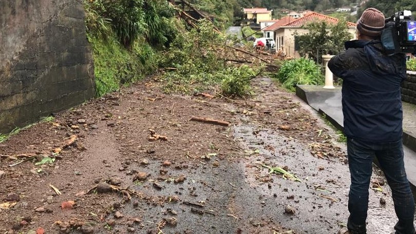 Imagem de Governo da República disponibiliza apoio na área da Proteção Civil à Madeira