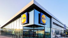 LIDL quer parcerias com os fornecedores locais (vídeo)