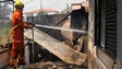 Imagem de Emigrantes madeirenses nos Estados Unidos reúnem 32 mil euros para ajudar famílias prejudicadas pelos incêndios