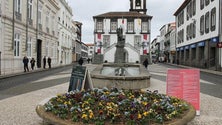 Imagem de Fátima Rego Ponte deverá ser candidata do PSD à câmara de Ponta Delgada (Vídeo)