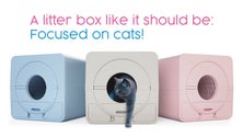 Imagem de Empresa açoriana prepara produção em série de caixas de higiene para gatos (Vídeo)