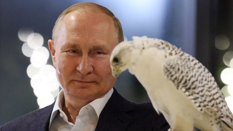 Imagem de Putin alerta para consequências ecológicas da rejeição da energia russa