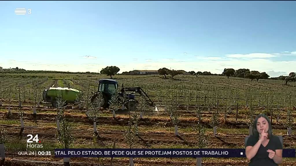 Agricultura em 2023. Seca afetou as culturas de modo diferente