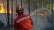 Imagem de Queimadas entre as principais causas dos fogos até 15 de agosto