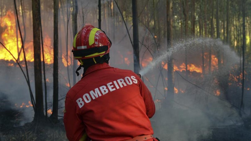 Queimadas entre as principais causas dos fogos até 15 de agosto