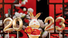 Imagem de Novo ano chinês dedicado ao coelho (áudio)