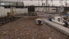 Imagem de APRAM lança procedimento para dragagem da entrada da Marina do Funchal com urgência