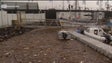 Imagem de APRAM lança procedimento para dragagem da entrada da Marina do Funchal com urgência