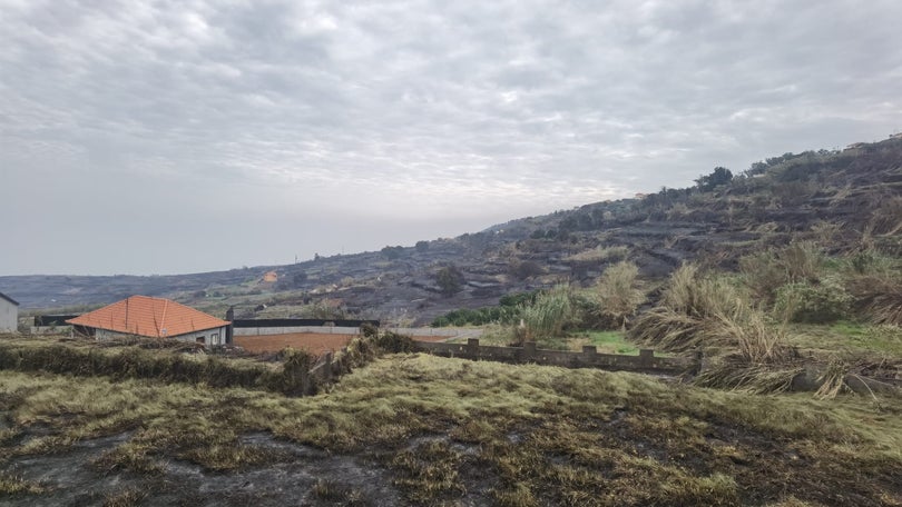 Imagem de Continuam a acontecer alguns reacendimentos na zona da Santa