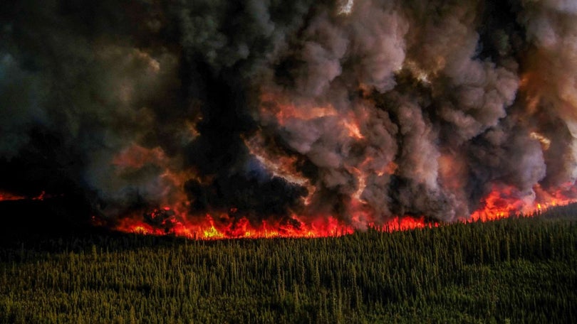 Imagem de Portugal, Espanha e França enviam 280 bombeiros para ajudar Canadá a combater fogos