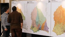 Imagem de Plano Diretor Municipal do Funchal em debate