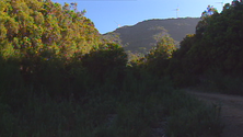 Imagem de Ambientalistas desvalorizam estudo de impacto ambiental (vídeo)