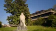 Imagem de Fundação Calouste Gulbenkian elege administradores não executivos
