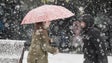 Imagem de Forte nevada no Japão faz pelo menos 14 mortos e mais de meia centena de feridos