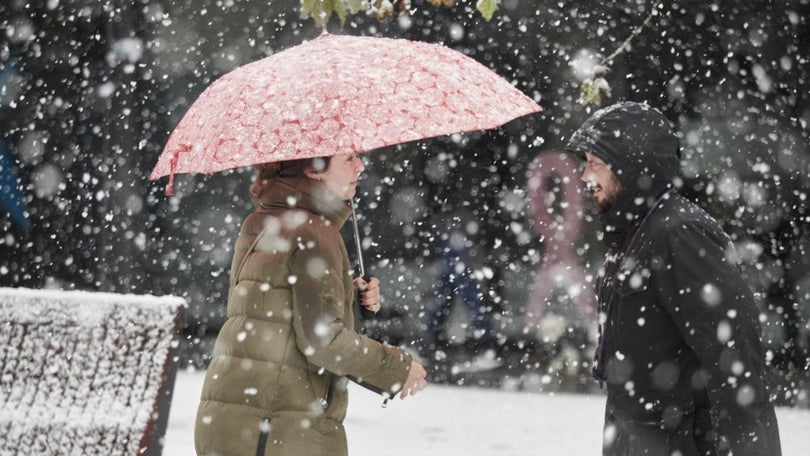 Imagem de Forte nevada no Japão faz pelo menos 14 mortos e mais de meia centena de feridos