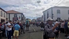 Imagem de Bodo de leite das Lajes leva centenas de pessoas à Vila [Vídeo]
