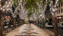 Imagem de Luzes de Natal já começaram a ser instaladas no Funchal (Vídeo)