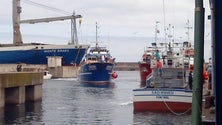 Imagem de Covid-19: Pescadores reclamam a paragem das embarcações (Vídeo)
